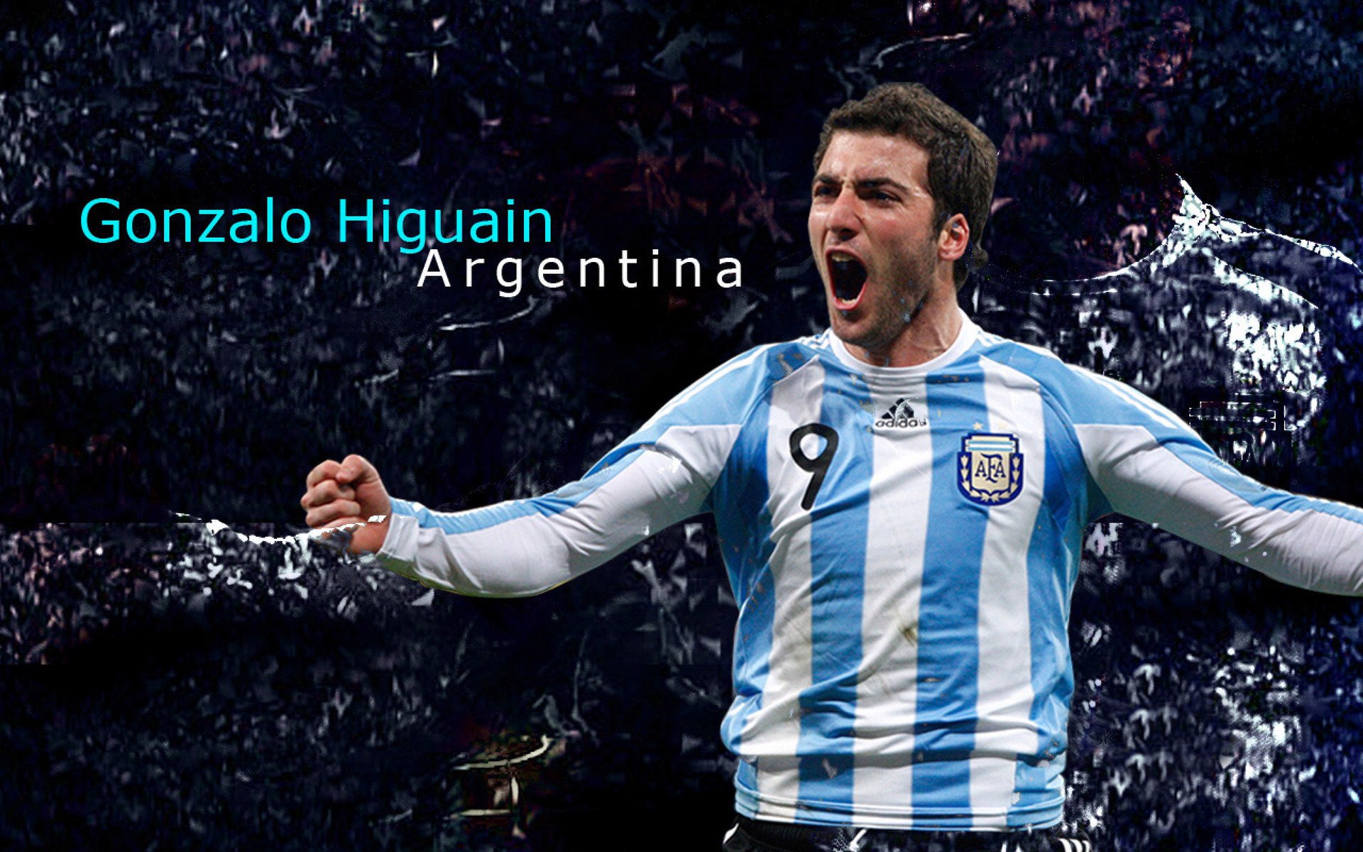 马克西，迈阿密的庖丁解牛刀